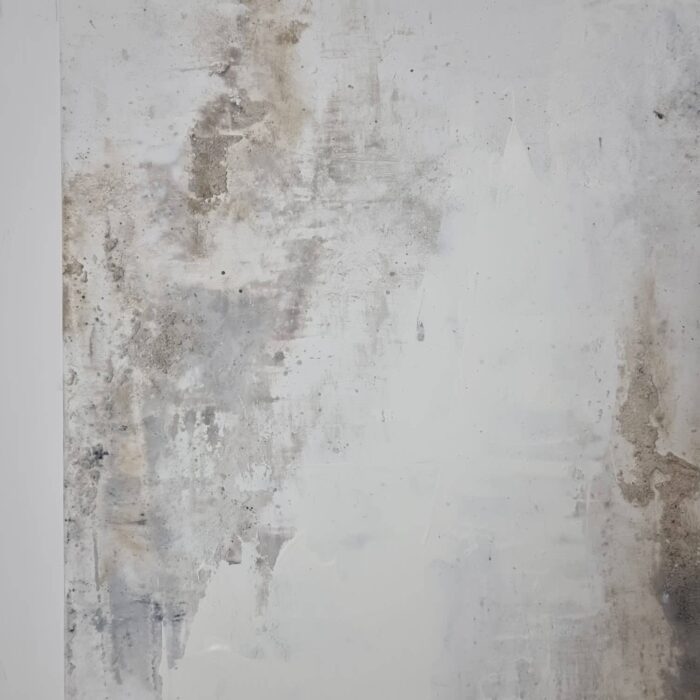 #22.377 (90×120)